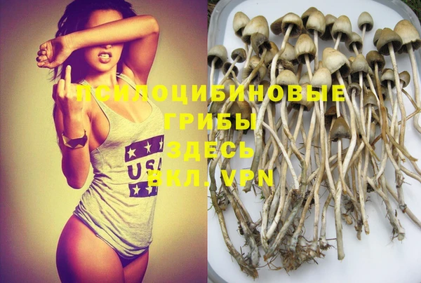 дмт Зеленокумск