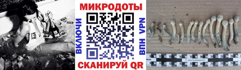 Псилоцибиновые грибы MAGIC MUSHROOMS  Купить закладки  Далматово 